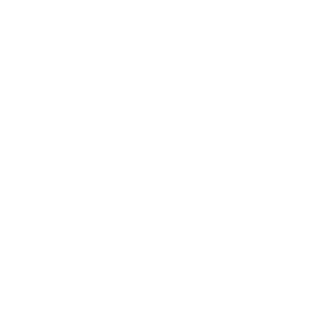 Logo Ditto