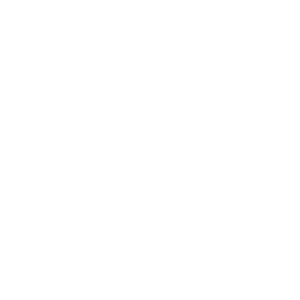 Logo TasteTheFloot
