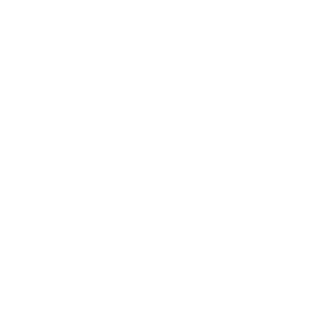 Logo diskover